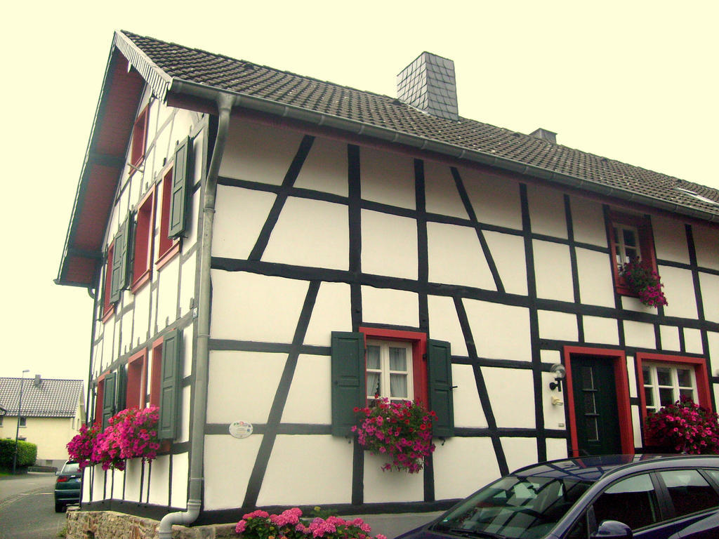 Ferienwohnung Duerbaum ชไลเดิน ห้อง รูปภาพ
